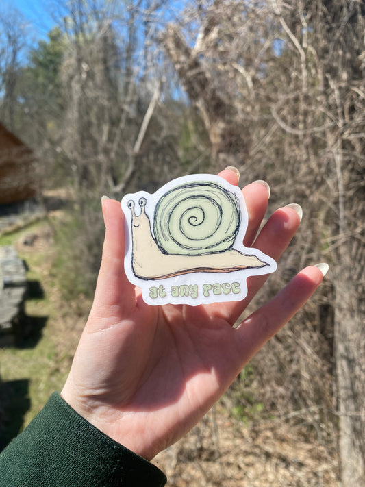 At Any Pace Vinyl Sticker