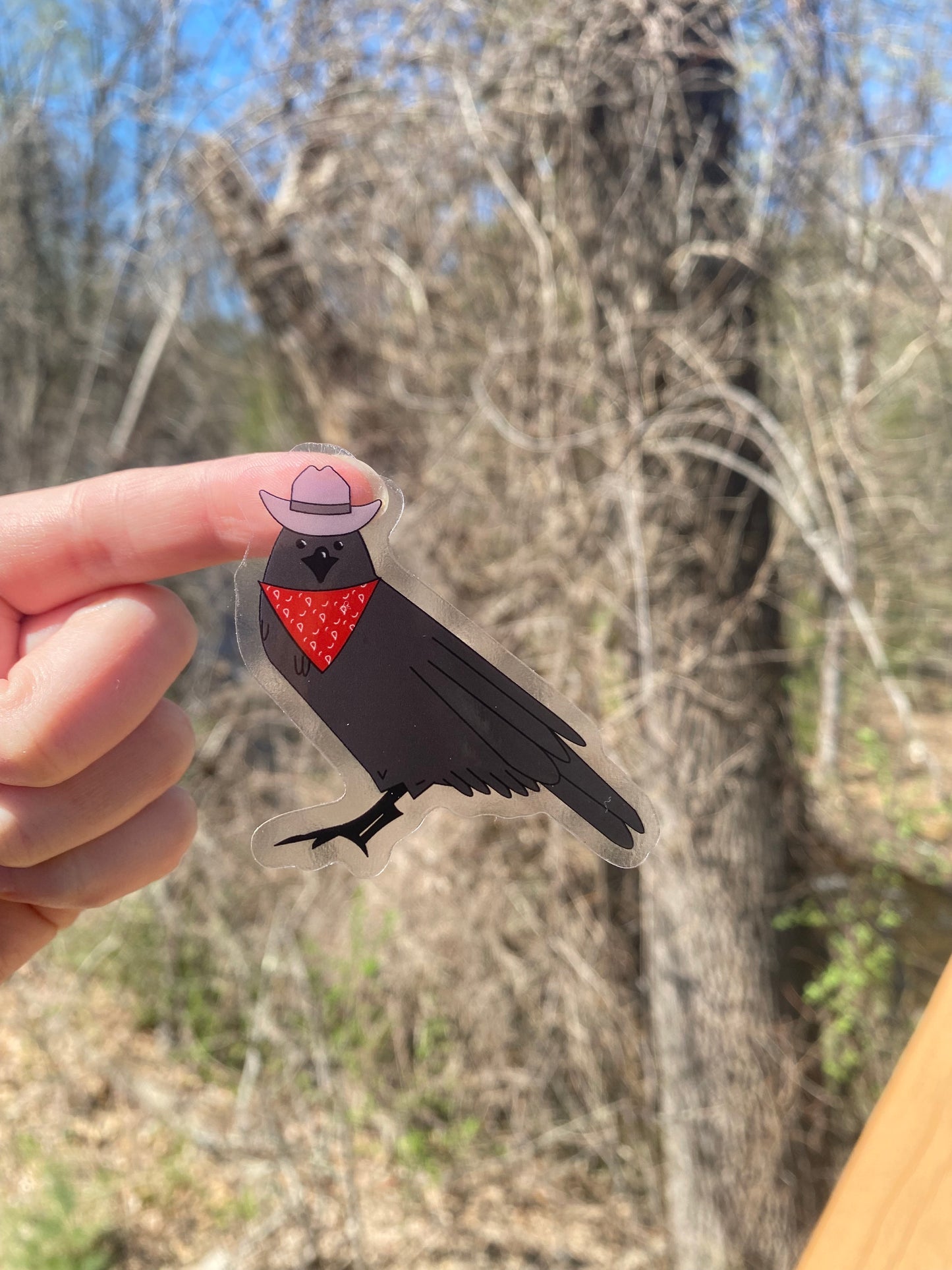 Yee Caw Clear Vinyl Sticker